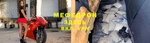 прущие грибы Абаза