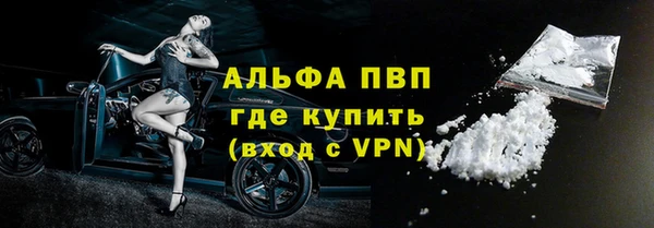 прущие грибы Абаза