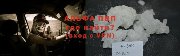 прущие грибы Абаза