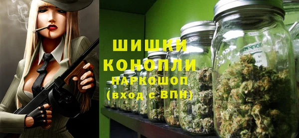прущие грибы Абаза