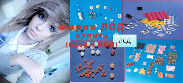 прущие грибы Абаза